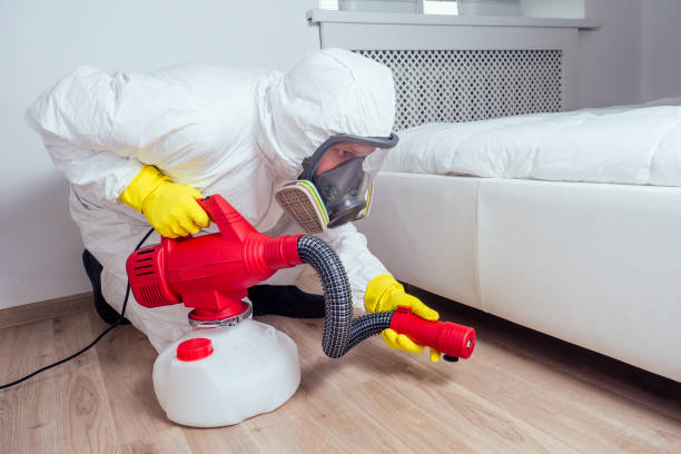 Professional Pest control in Belleview, FL